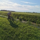img-20200713-194031.jpg